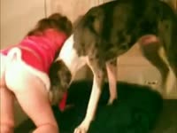 Redhead in sexy lingerie gets pounded by dog